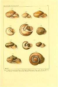 n538_w1150