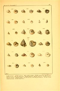 n586_w1150