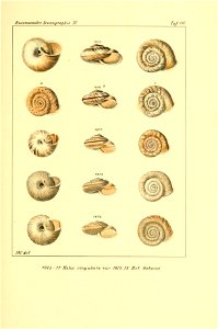 n508_w1150