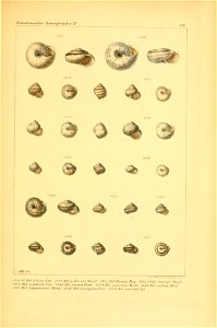 n598_w1150