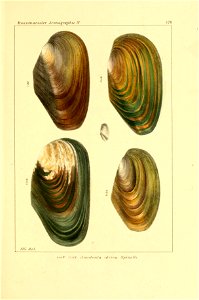 n534_w1150