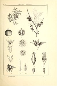 n148_w1150