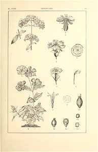 n102_w1150