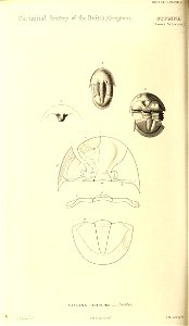 n397_w1150