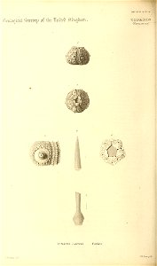 n331_w1150