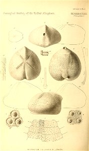 n203_w1150