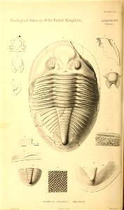 n109_w1150