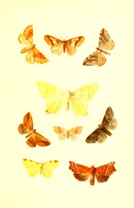 n392_w1150