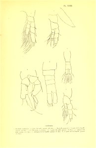 n218_w1150