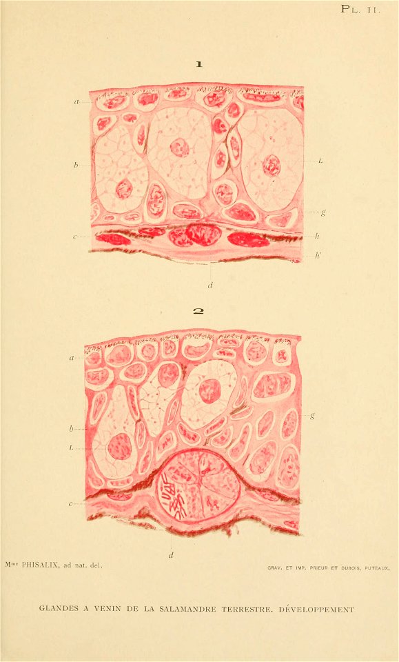 n156_w1150