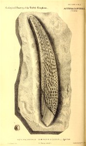 n139_w1150
