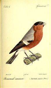 n508_w1150