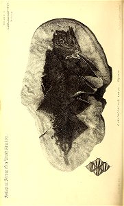 n371_w1150