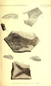 n234_w1150