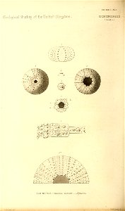 n311_w1150