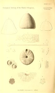 n187_w1150