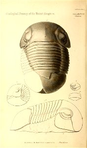n101_w1150