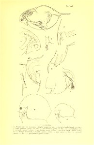 n204_w1150