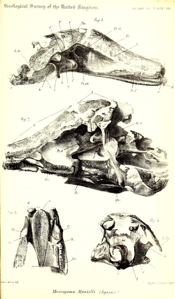 n512_w1150