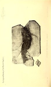 n365_w1150