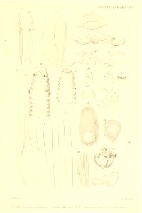n278_w1150