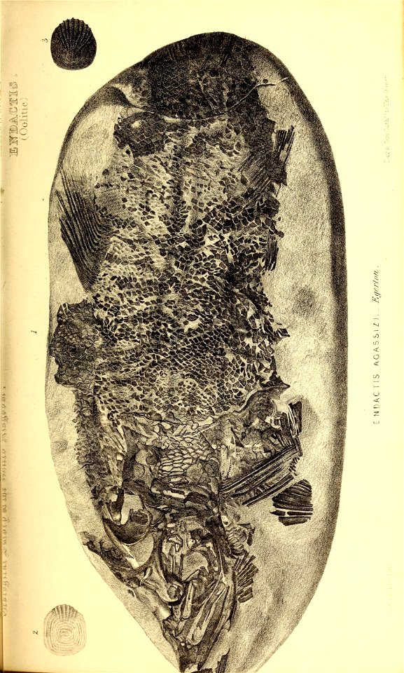 n224_w1150