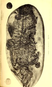 n224_w1150