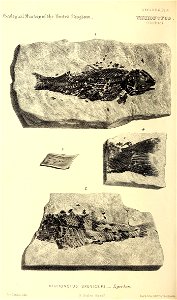 n411_w1150
