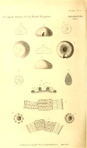 n173_w1150