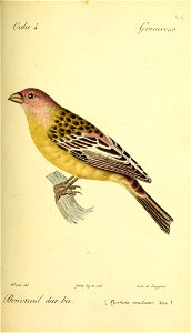 n502_w1150