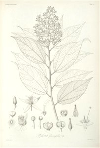 n43_w1150