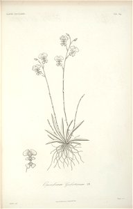n117_w1150
