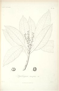 n102_w1150