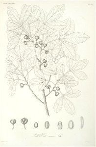 n56_w1150