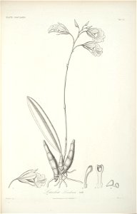 n115_w1150