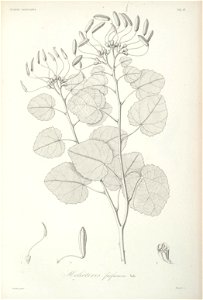 n40_w1150