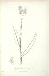 n114_w1150