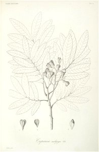 n54_w1150