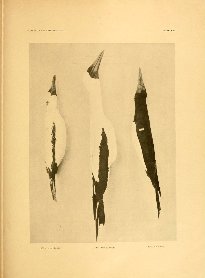 n96_w1150