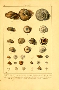 n588_w1150