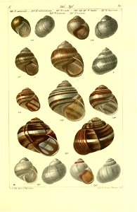 n528_w1150