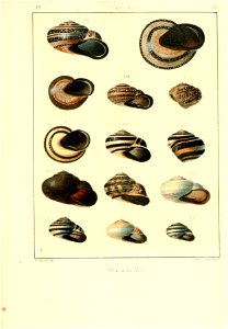 n178_w1150