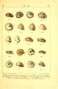 n578_w1150