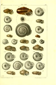 n518_w1150