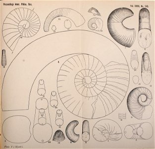 n302_w1150