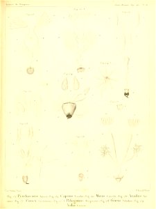 n368_w1150