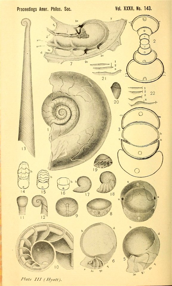 n293_w1150