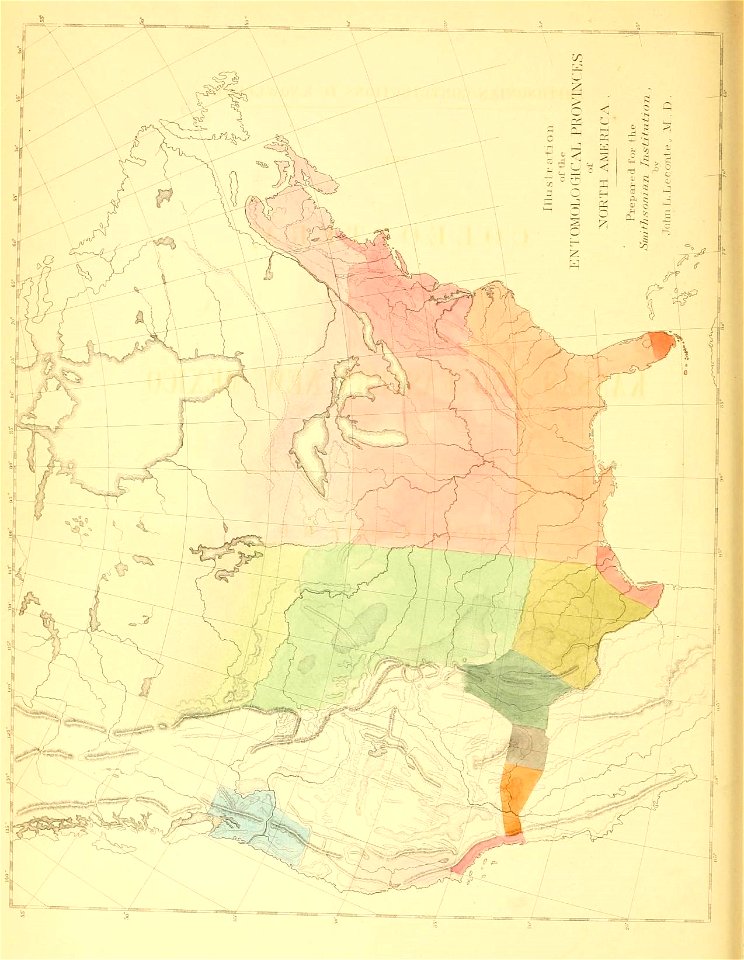 n343_w1150