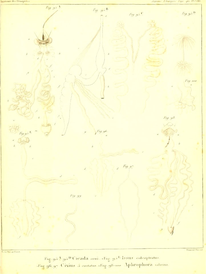 n362_w1150