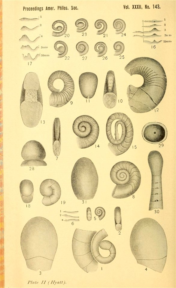 n289_w1150
